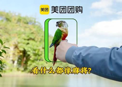 美团团购：春节手痒，看什么都像麻将？