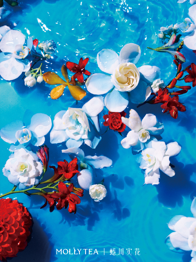 茉莉奶白携手蜷川实花共创漂亮花园