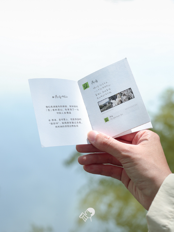 喜茶翻开了守茶人阿姨的茶园日记
