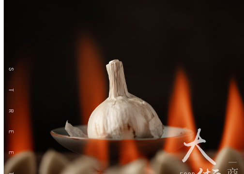 西安静物创意摄影  大蒜