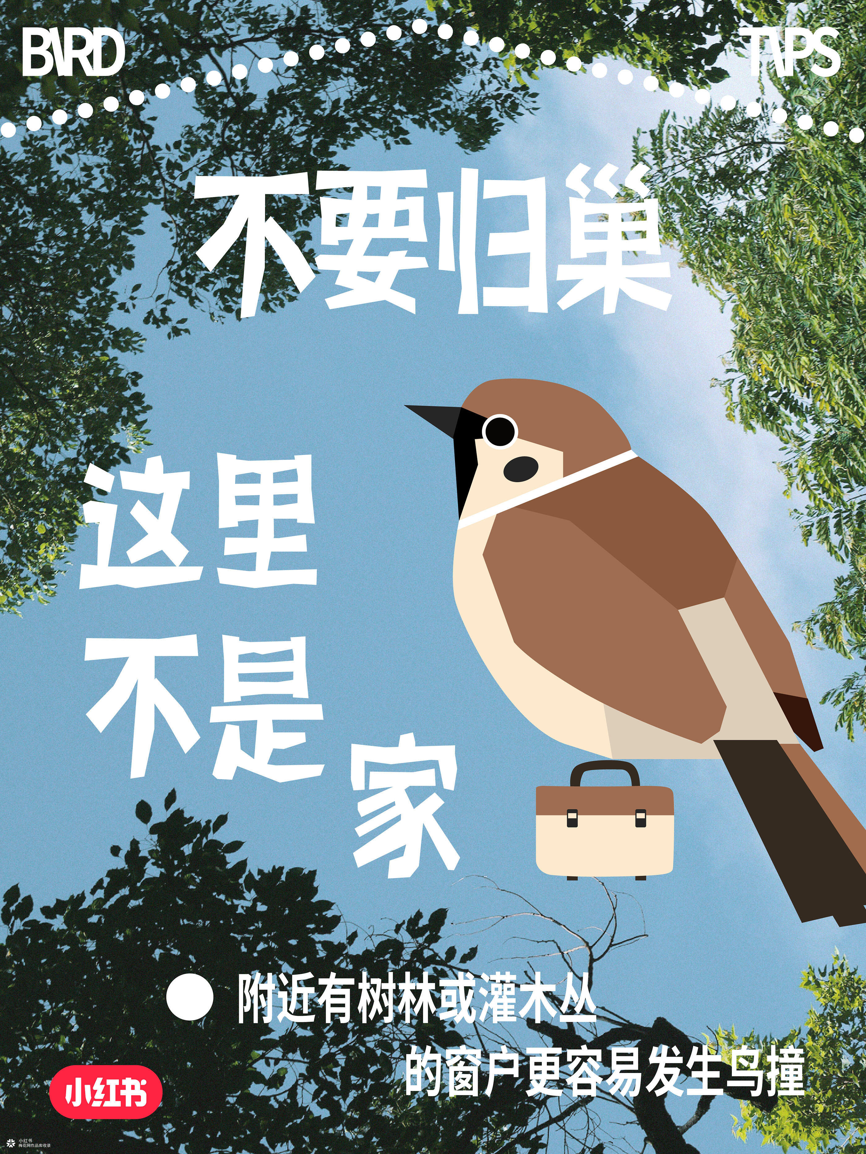 国际爱鸟日：人，小鸟有话对你说