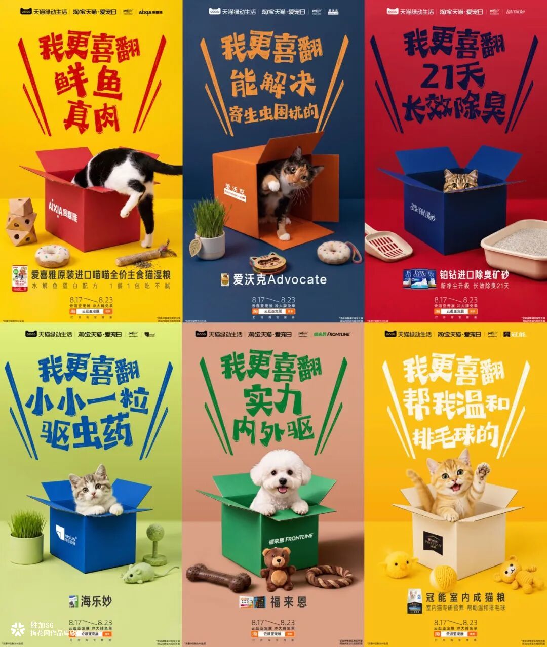 天猫绿动生活：垃圾堆不是它们的家