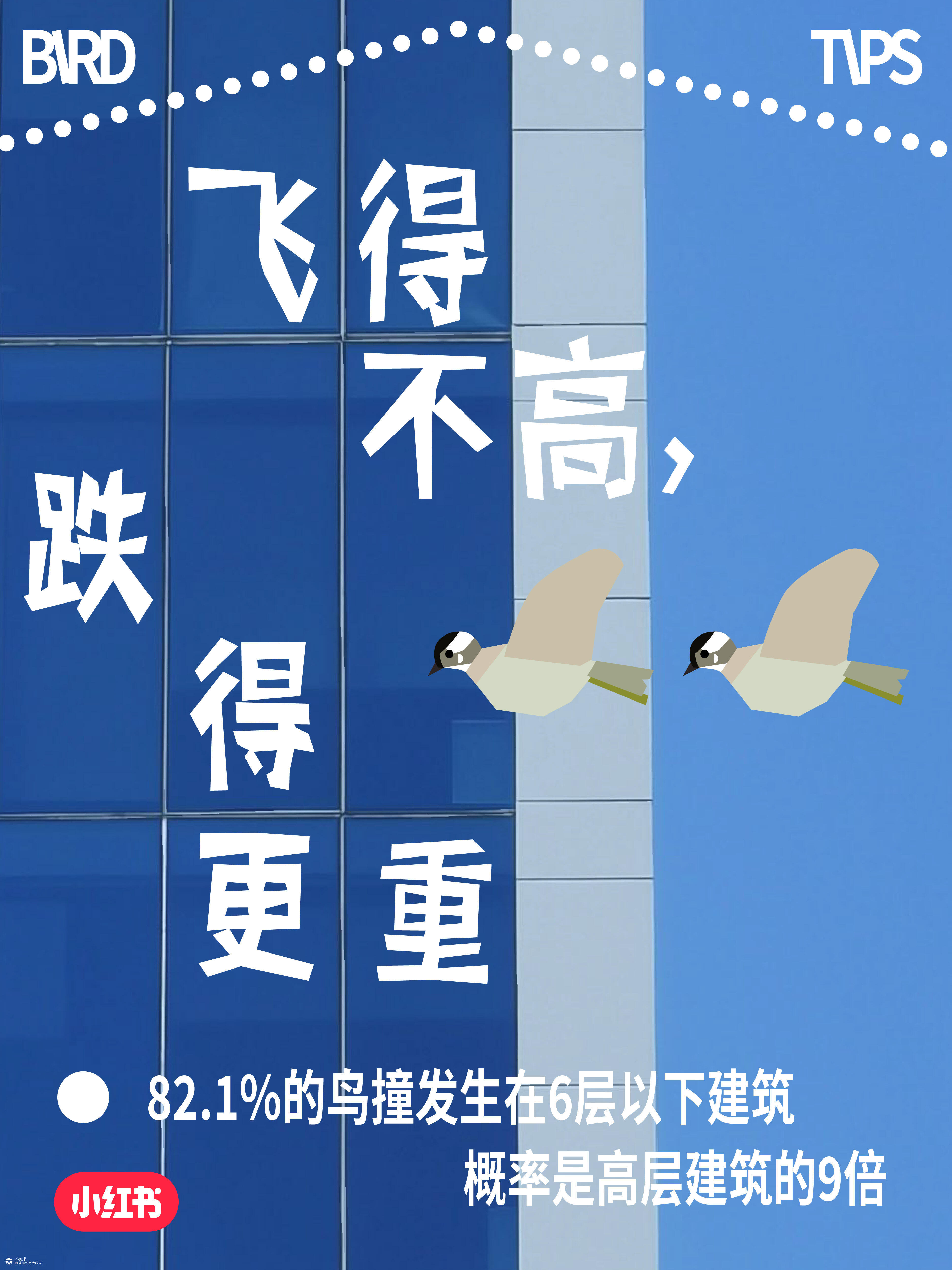 国际爱鸟日：人，小鸟有话对你说