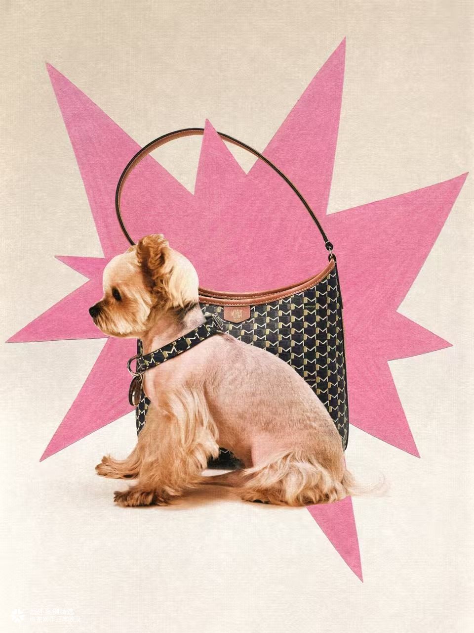 Moynat 520：将宠爱装进包里