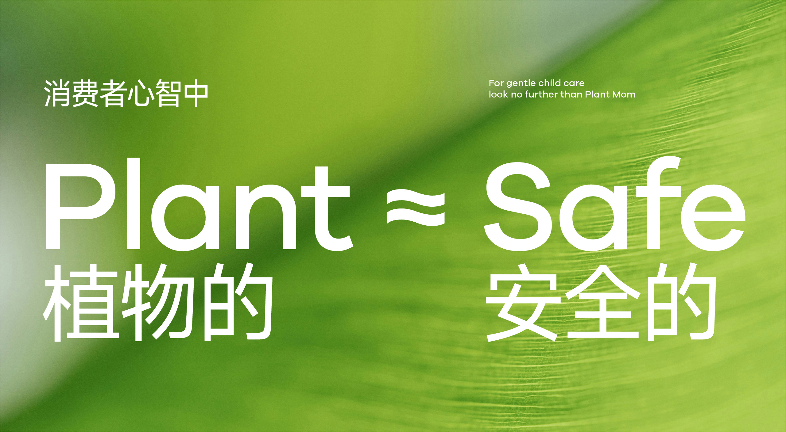 植物妈妈，把温和“植”入每一次洗护