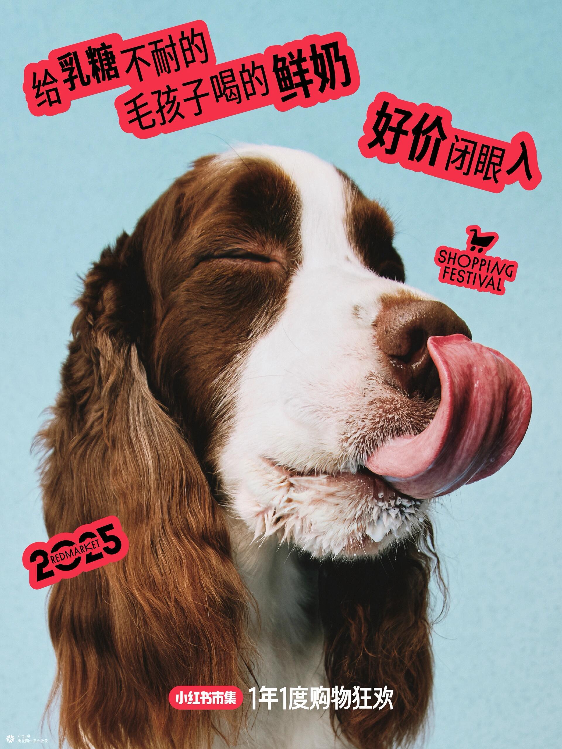 小红书双11海报：闭眼入的快乐，谁懂！