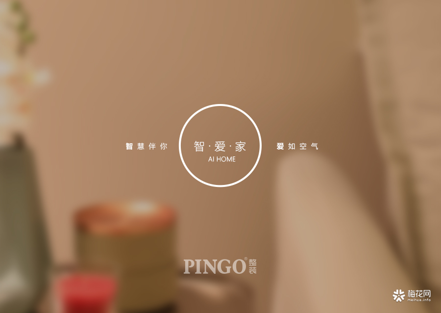 PINGO智爱家智能家居产品手册设计