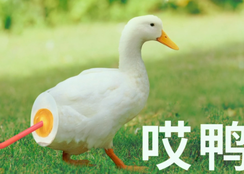哎鸭！来看五芳斋花式演绎咸鸭蛋