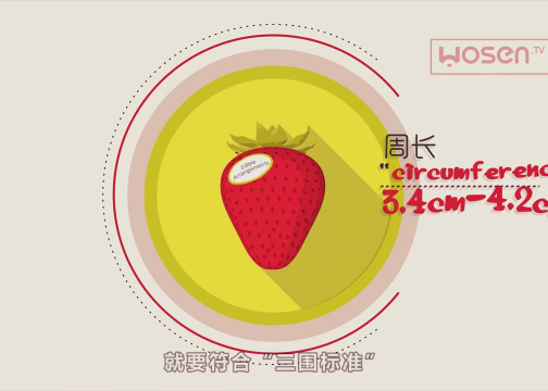 爱蒂宝Edible鲜果花产品MG动画宣传片