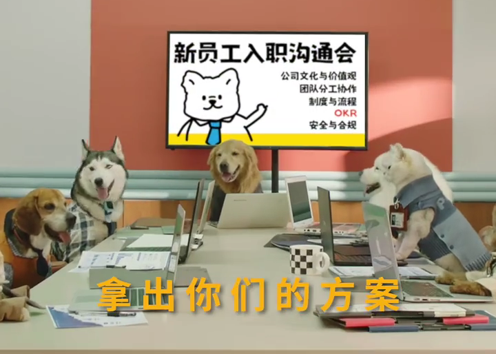 高能量萌宠职场打工初体验，从爪忙脚乱的一天开始！