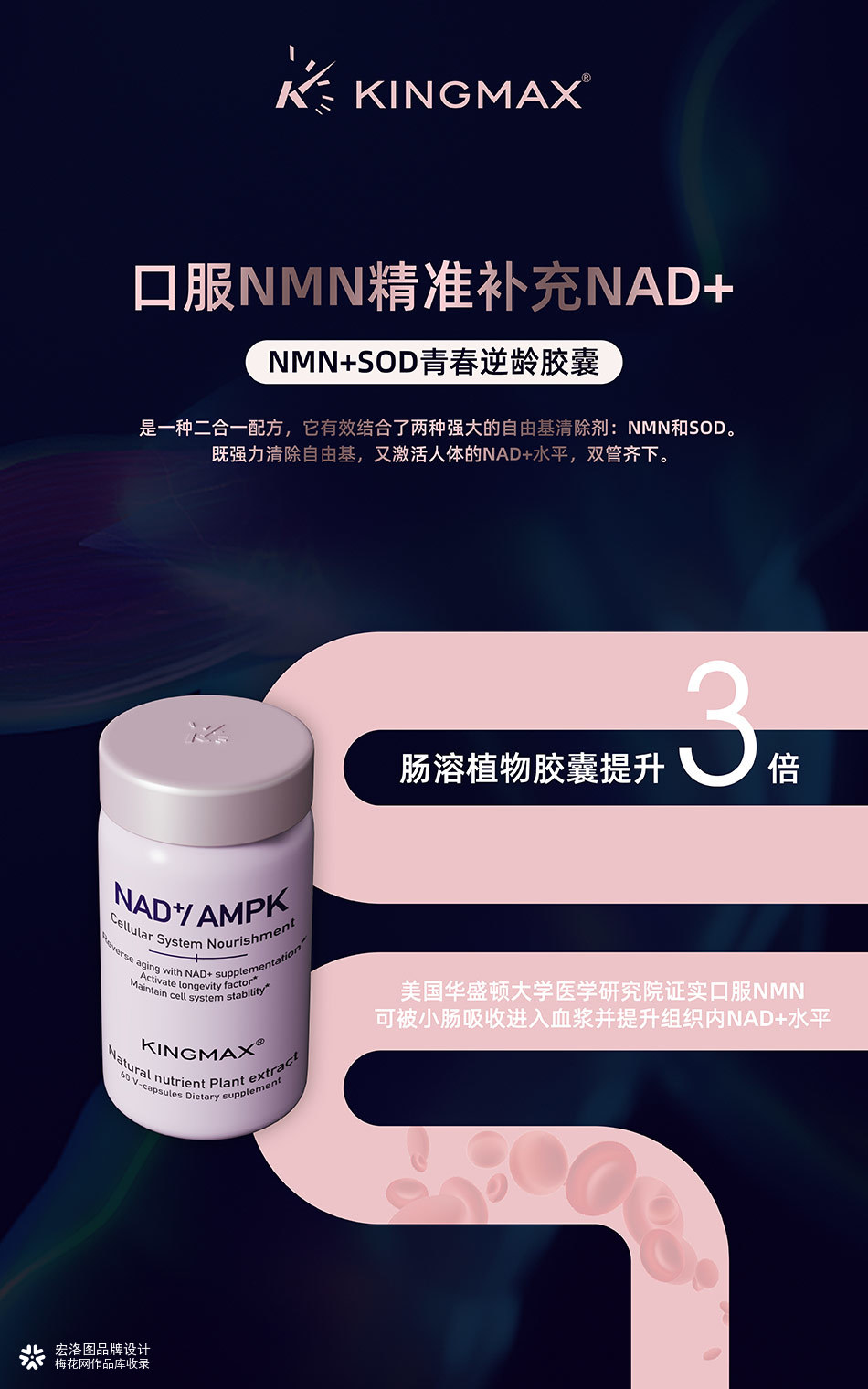 宏洛图案例解析 | KINGMAX：用设计为抗衰科技，赋予可触摸的高级感