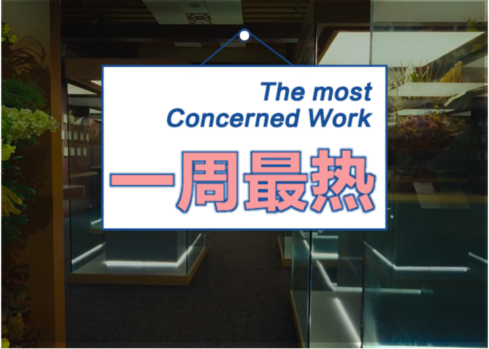 瑞幸“轻轻茉莉”疑是宛宛类姬？毛不易靠名字任新职｜一周热门