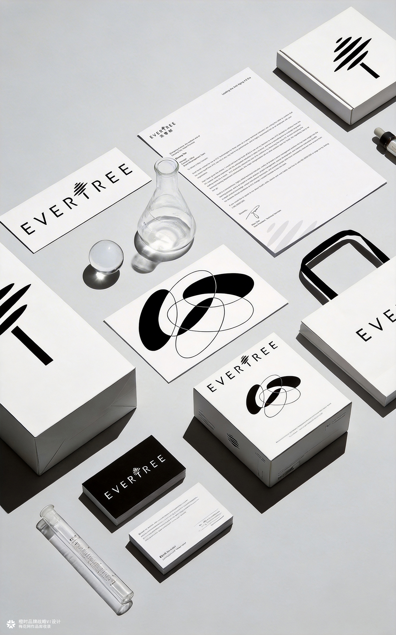 橙时 X 冻零树 | EVERTREE品牌形象设计