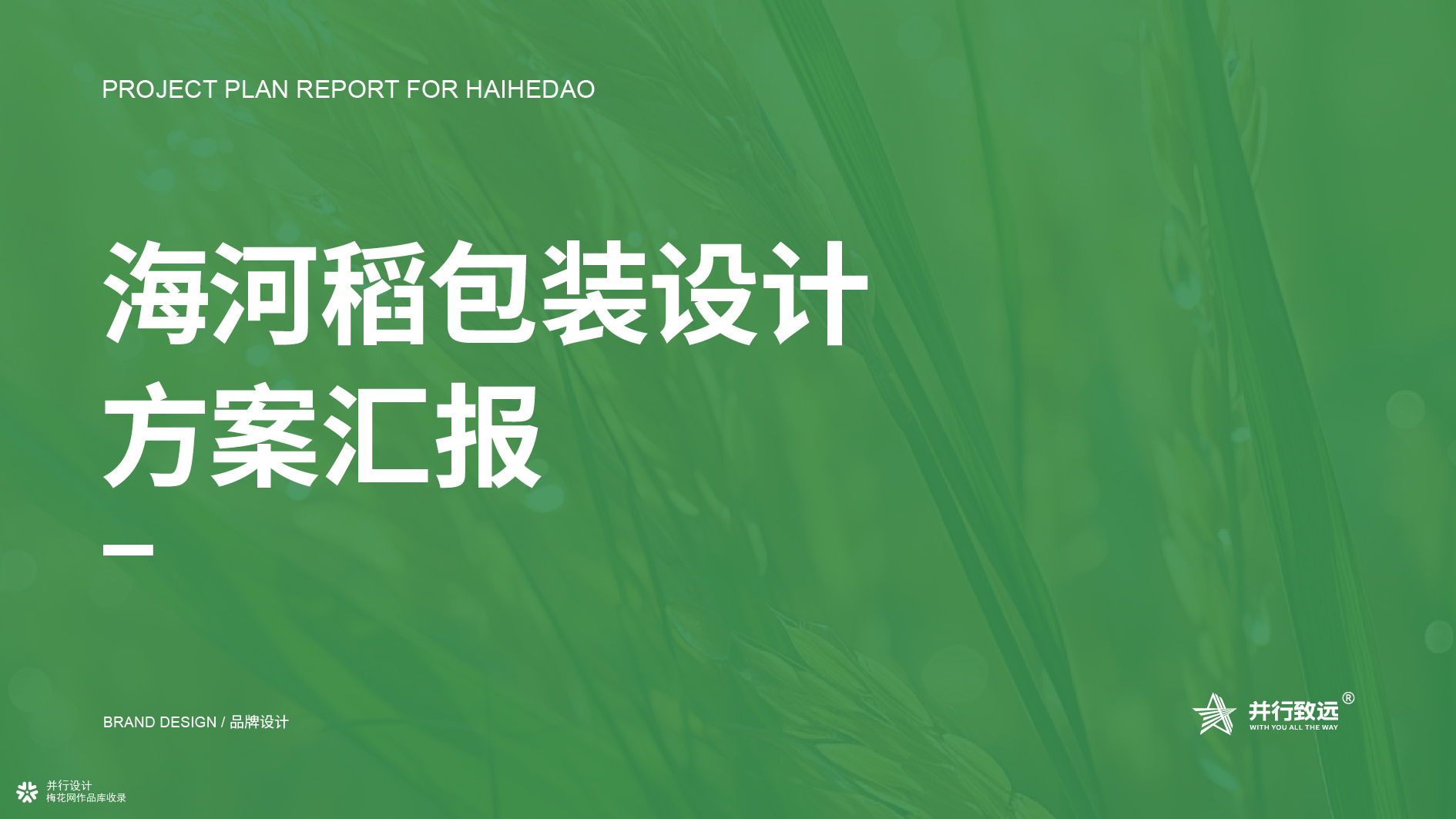 并行致远×海河稻 | 品牌包装设计