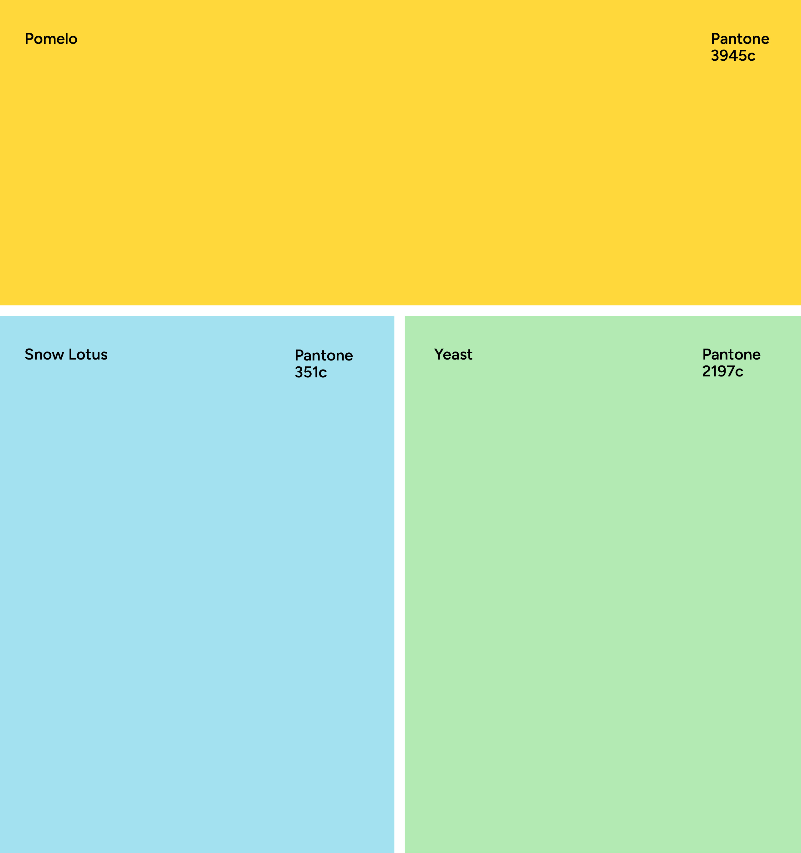 警告! 这只清洁怪咖，正在承包所有铲屎官的快乐