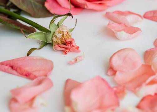 饿了么，“消失”在17岁