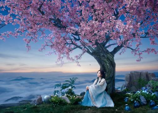 安慕希 x白鹿 仙侠大片精彩来袭