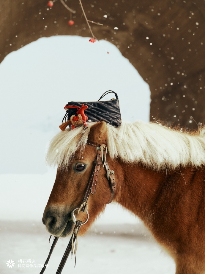 Songmont 邀你在雪地里，一同「纵马逐乐」