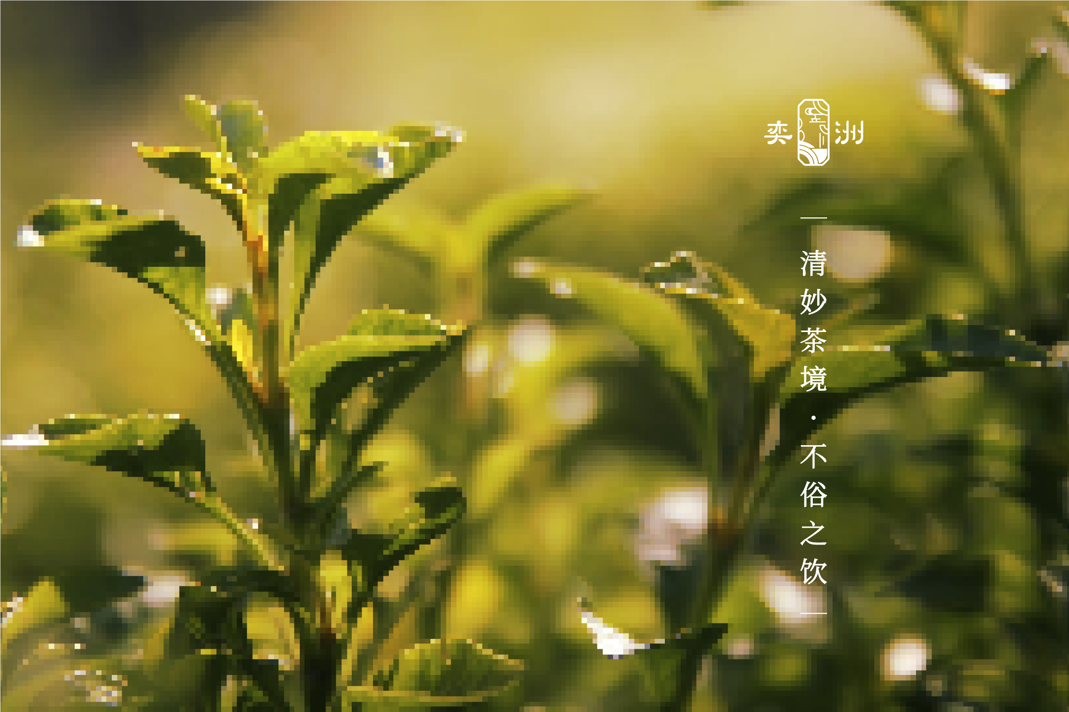 风雅亲和Logo呈现 | 把喝茶变成日常俗事中的小确幸