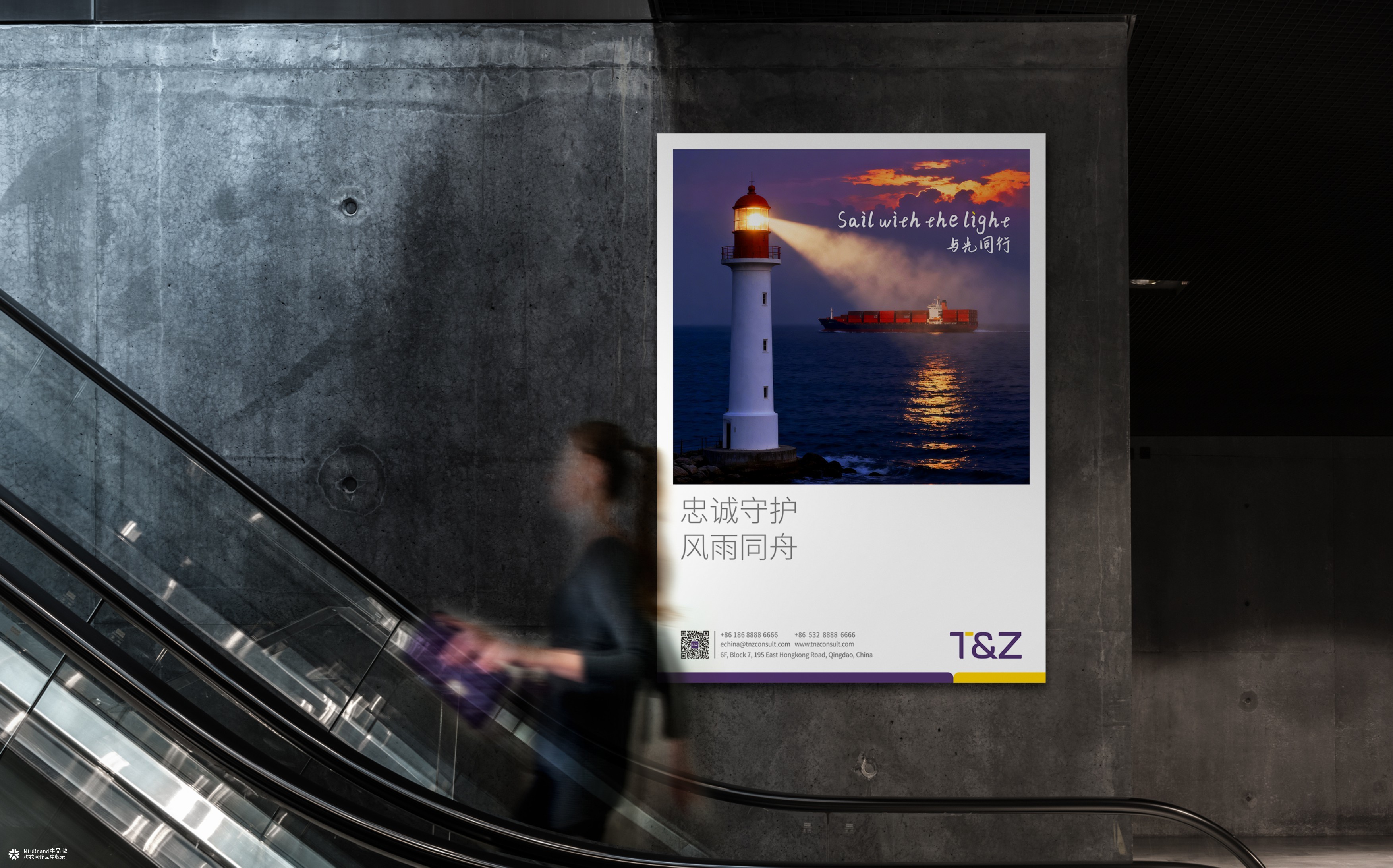 诺亚天泽保险经济品牌形象设计方案