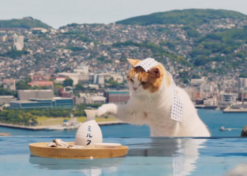 日本萌宠广告《旅行猫——夏日幸福的旅行篇》
