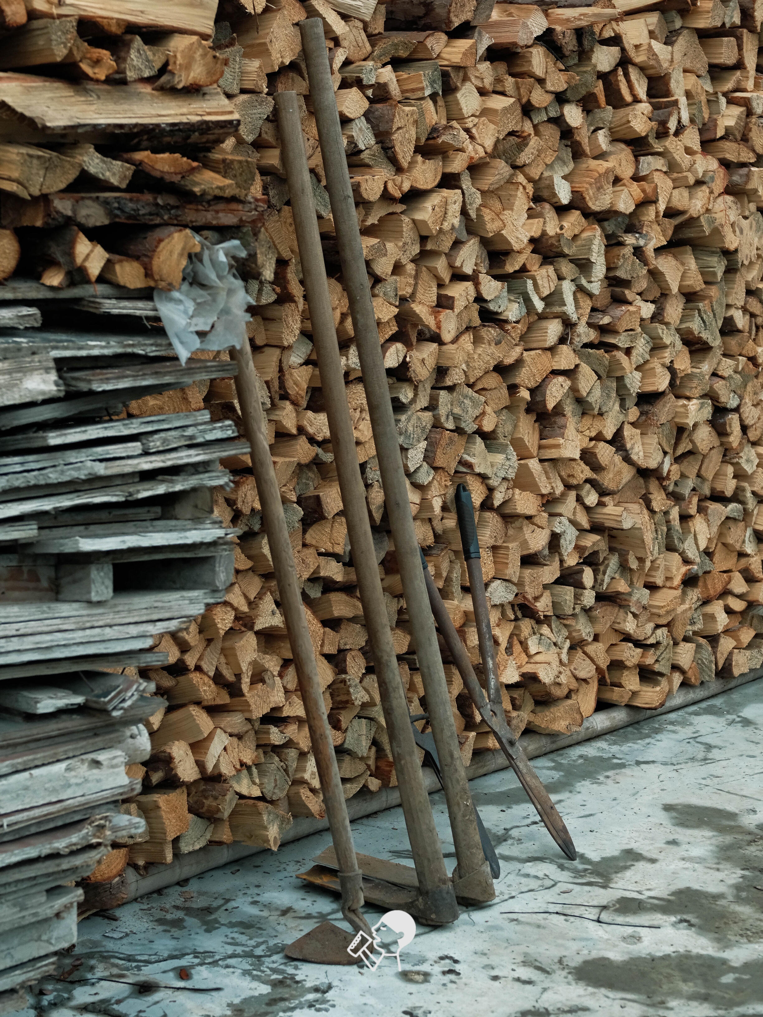 喜茶翻开了守茶人阿姨的茶园日记