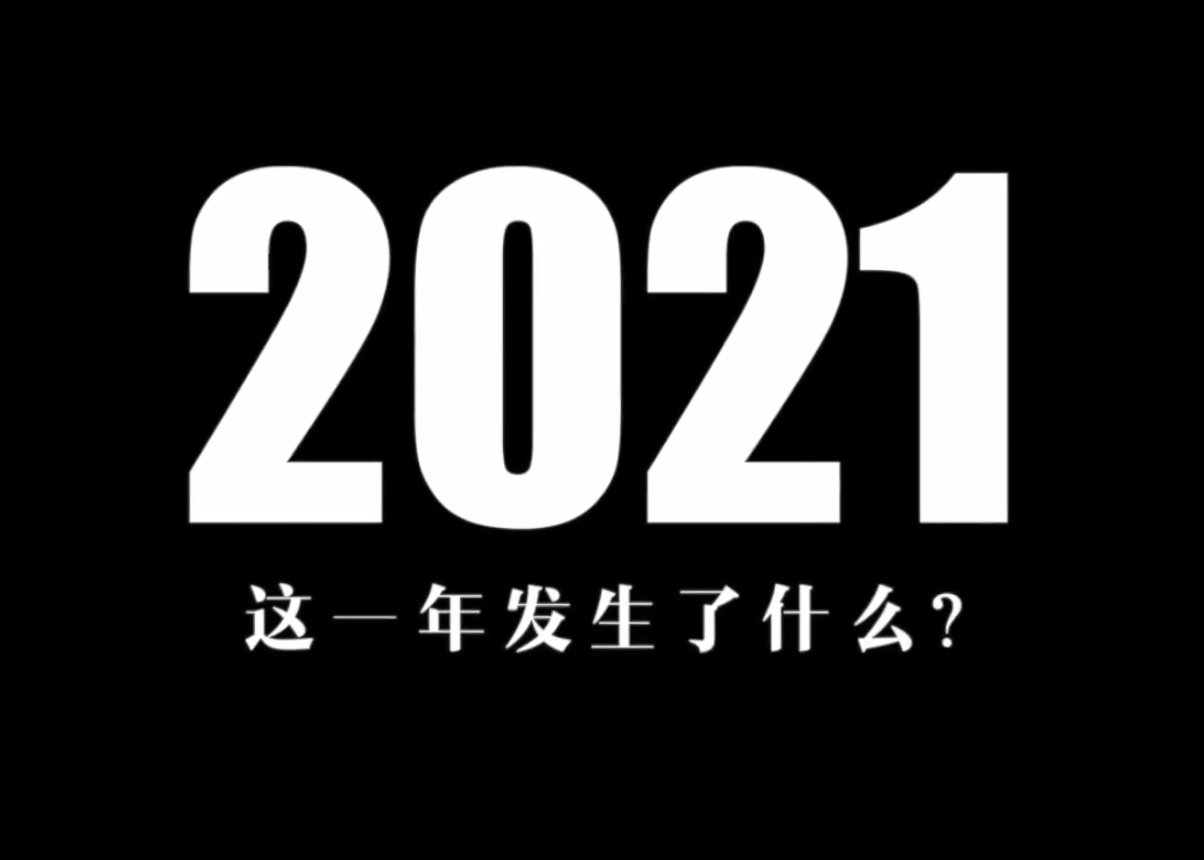 艺术 纯展示向 美学