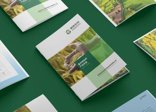 政策性担保公司产品手册复盘：先定身份，再谈视觉