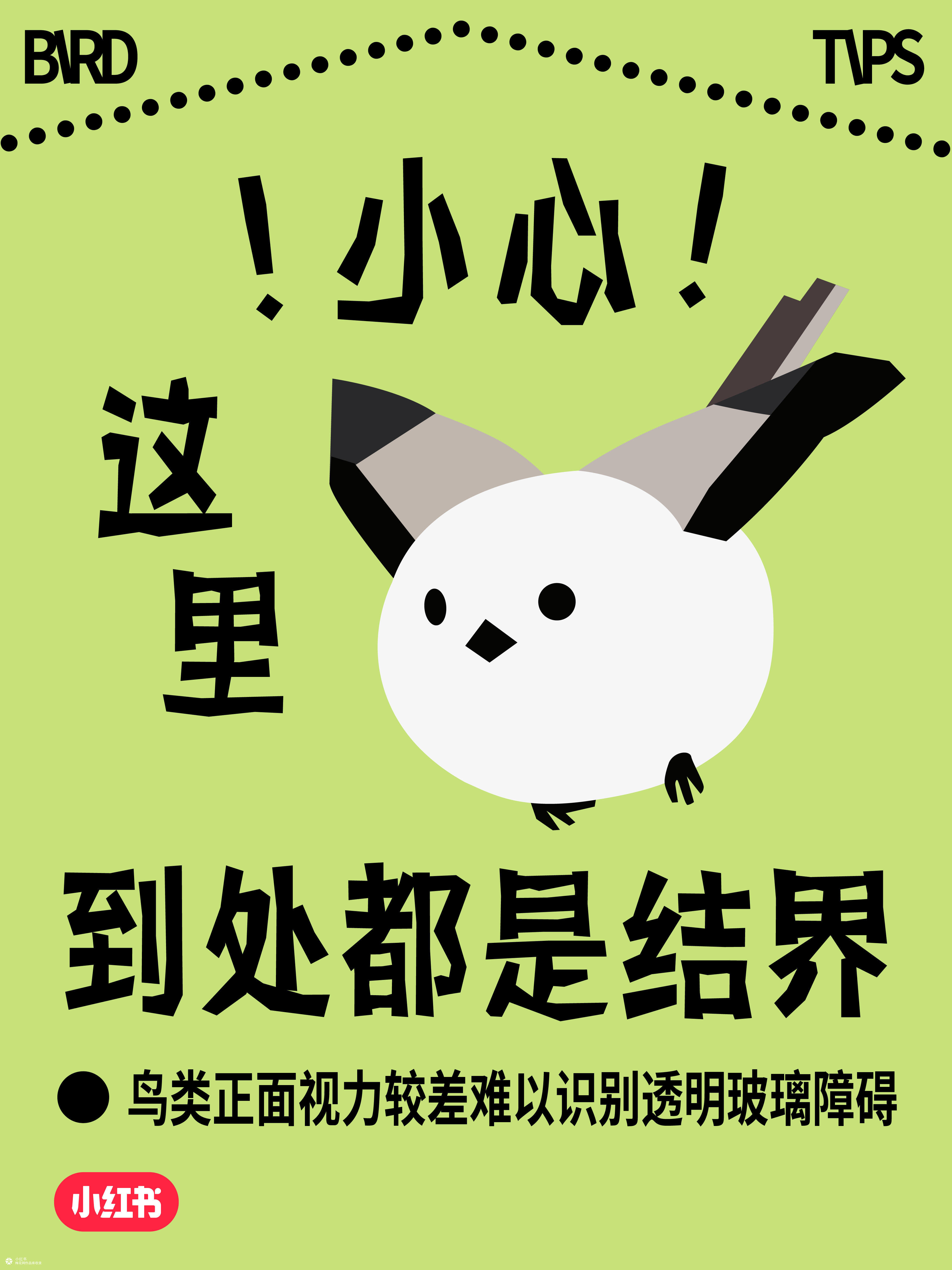 国际爱鸟日：人，小鸟有话对你说