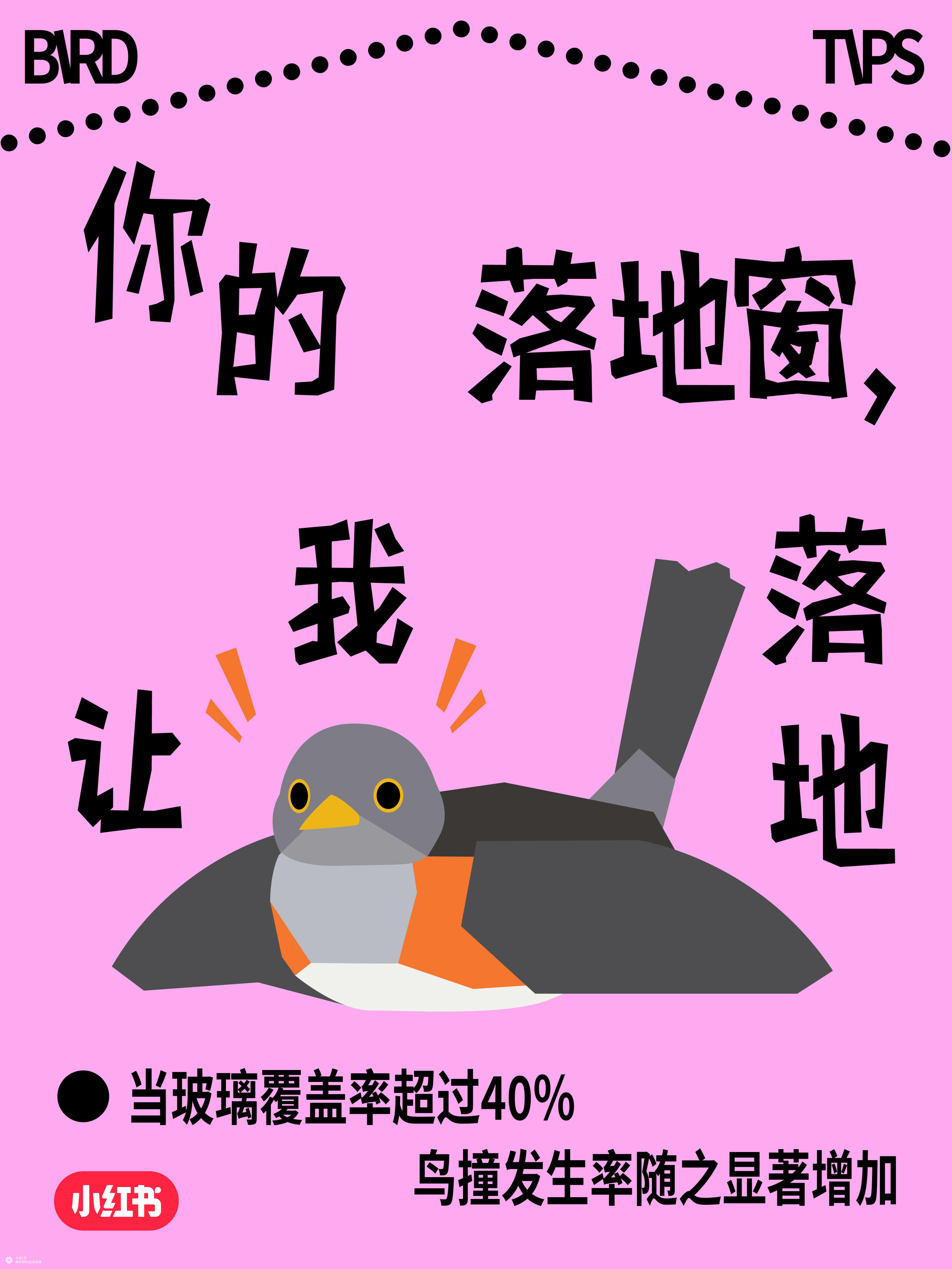 国际爱鸟日：人，小鸟有话对你说