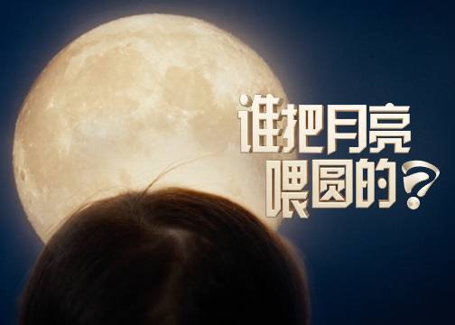 金领冠中秋：怀里的圆月