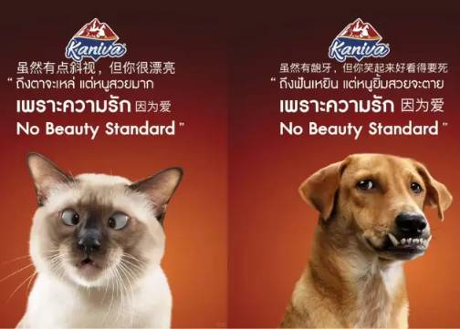 宠物日特辑｜5支广告，读懂毛孩子的爱