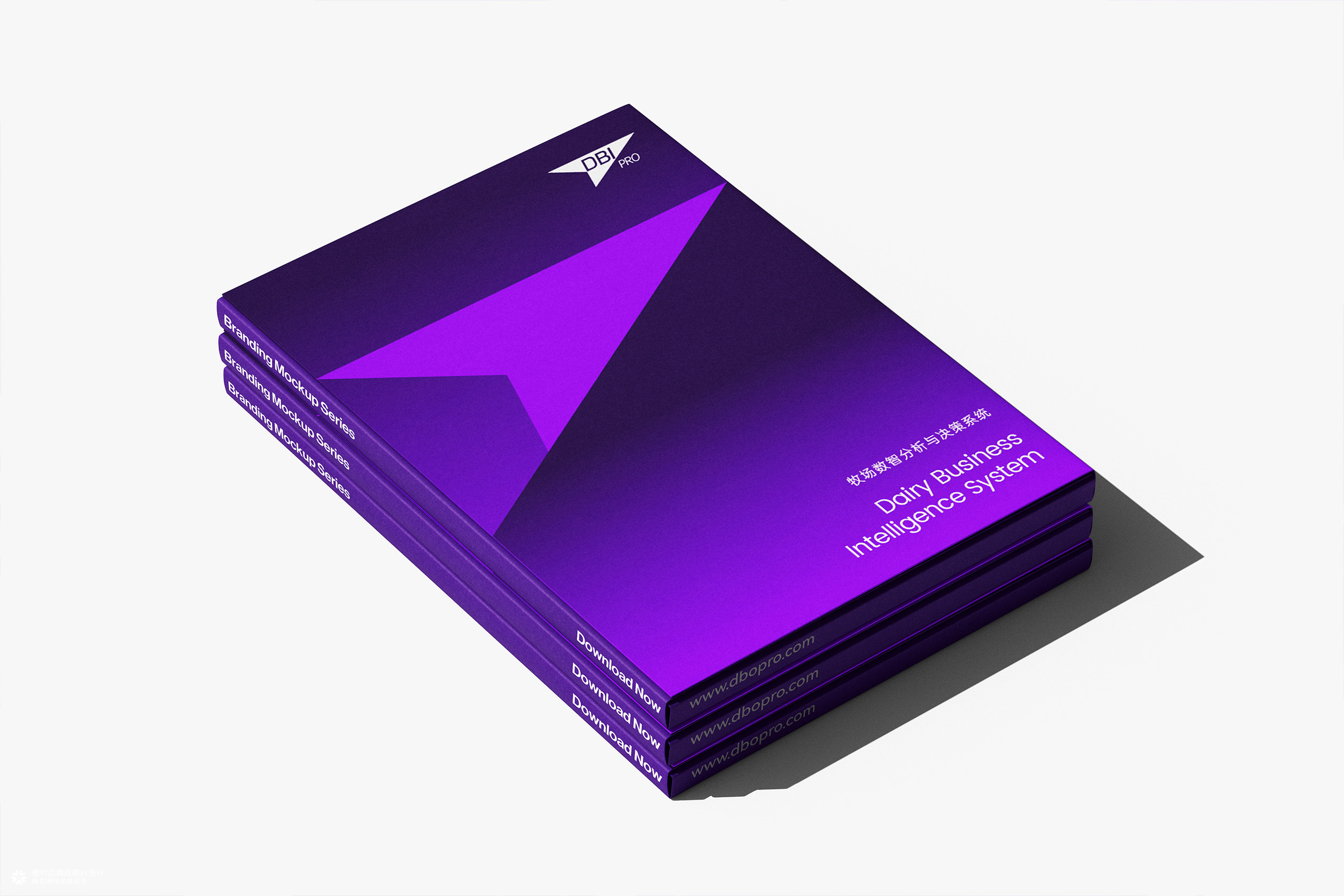 DBI Pro牧场数智分析决策平台品牌VI设计