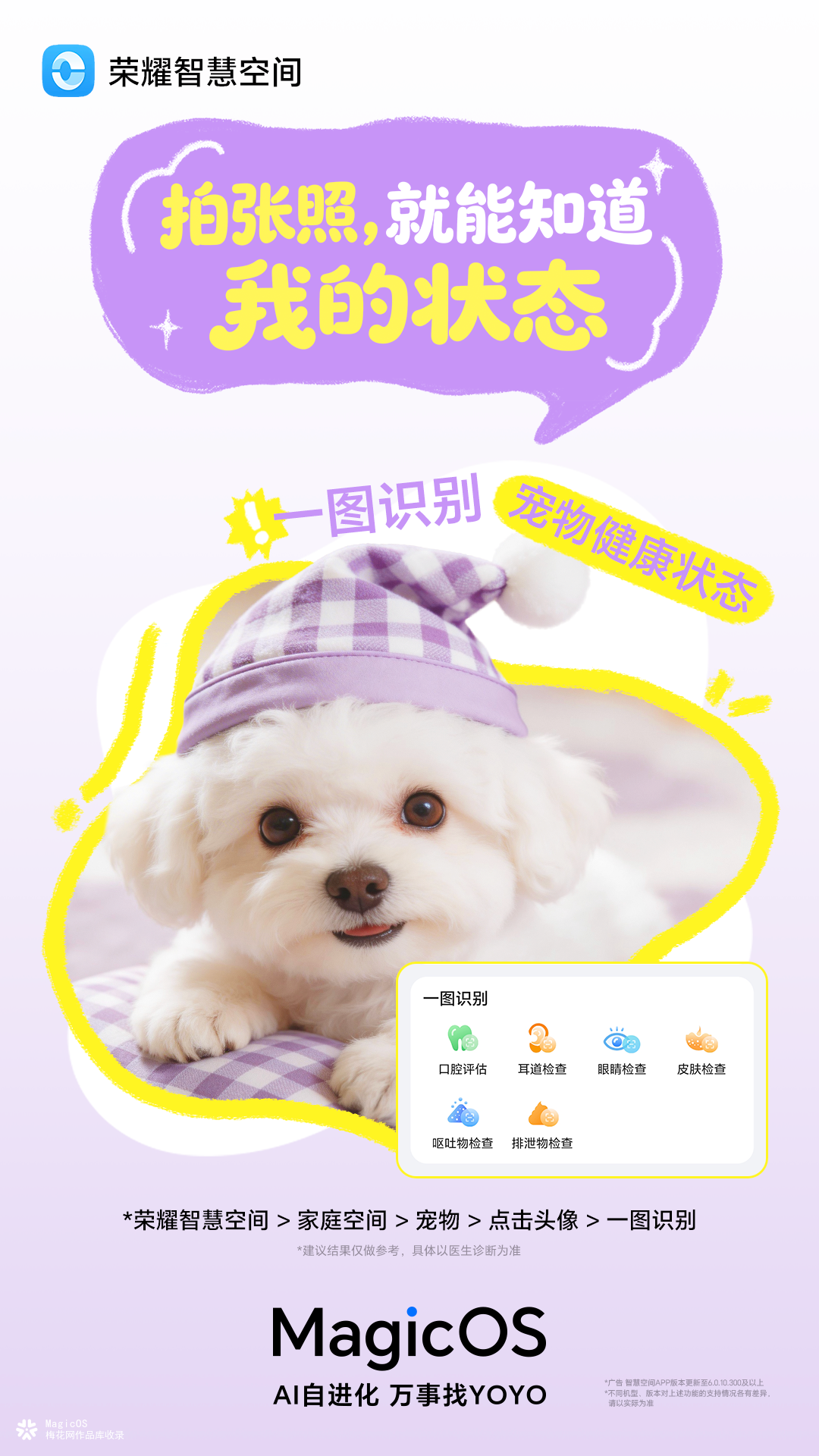 荣耀MagicOS：国际宠物日，AI管家来问诊