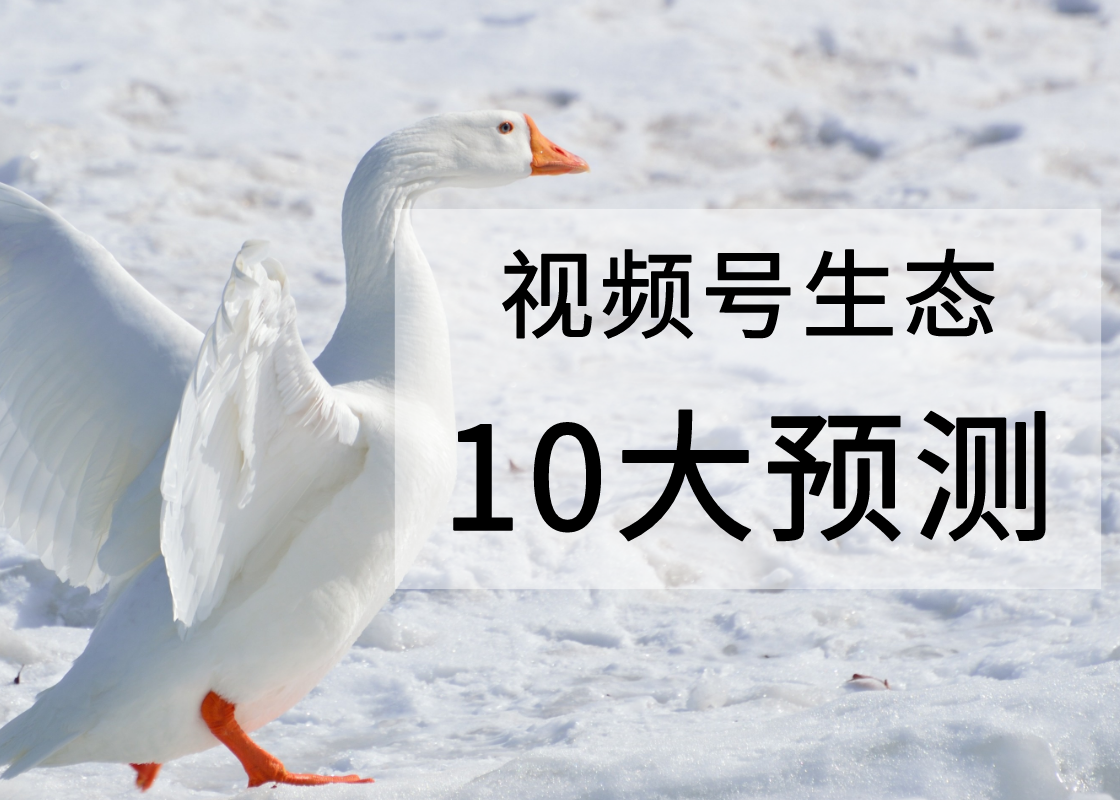 2023，视频号生态的10大预测