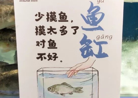 走心