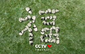 CCTV春晚《新春新愿》TVC