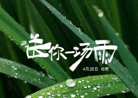 听OPPO在谷雨送来的雨