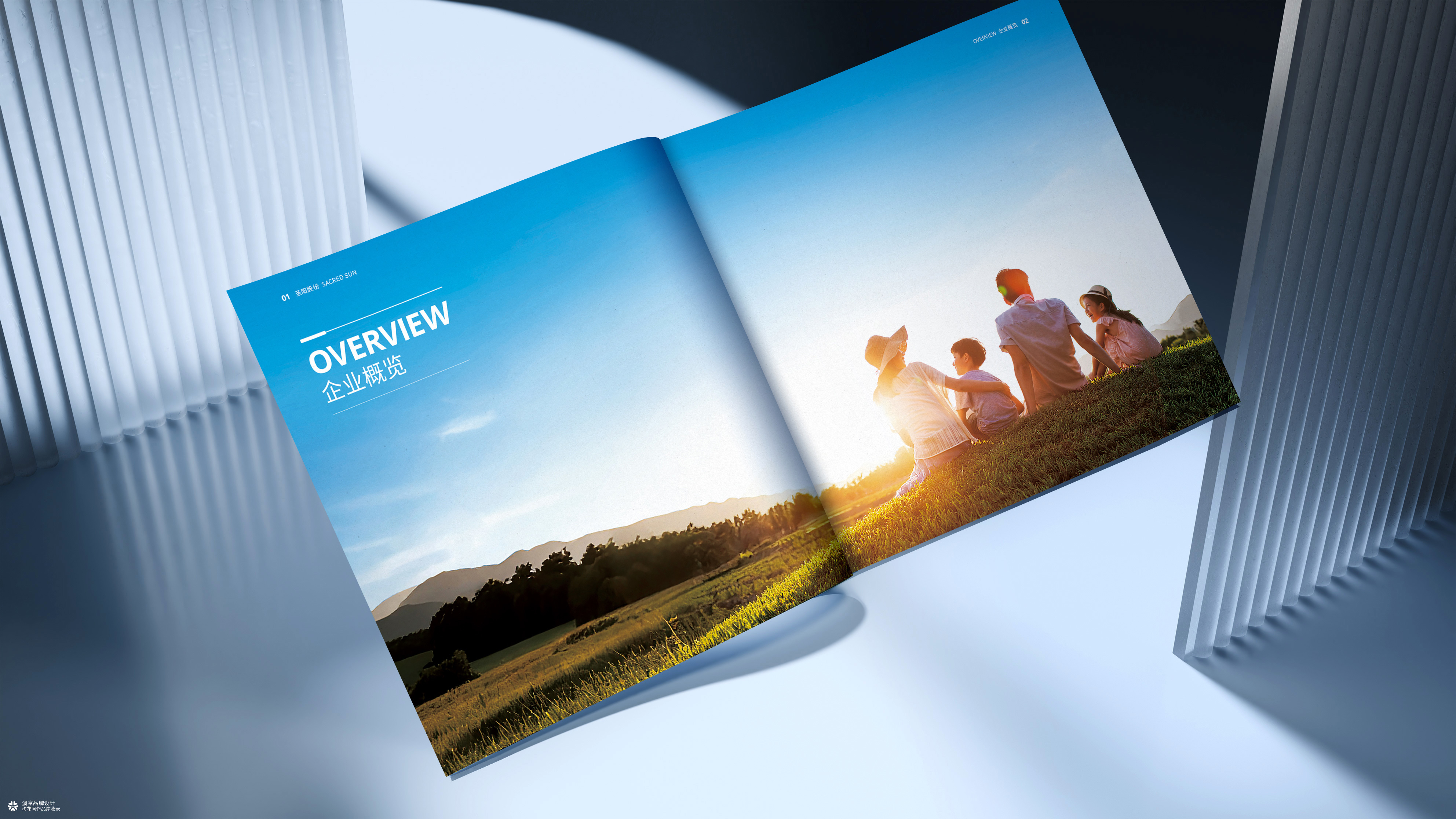 山东发展集团&圣阳股份新能源画册