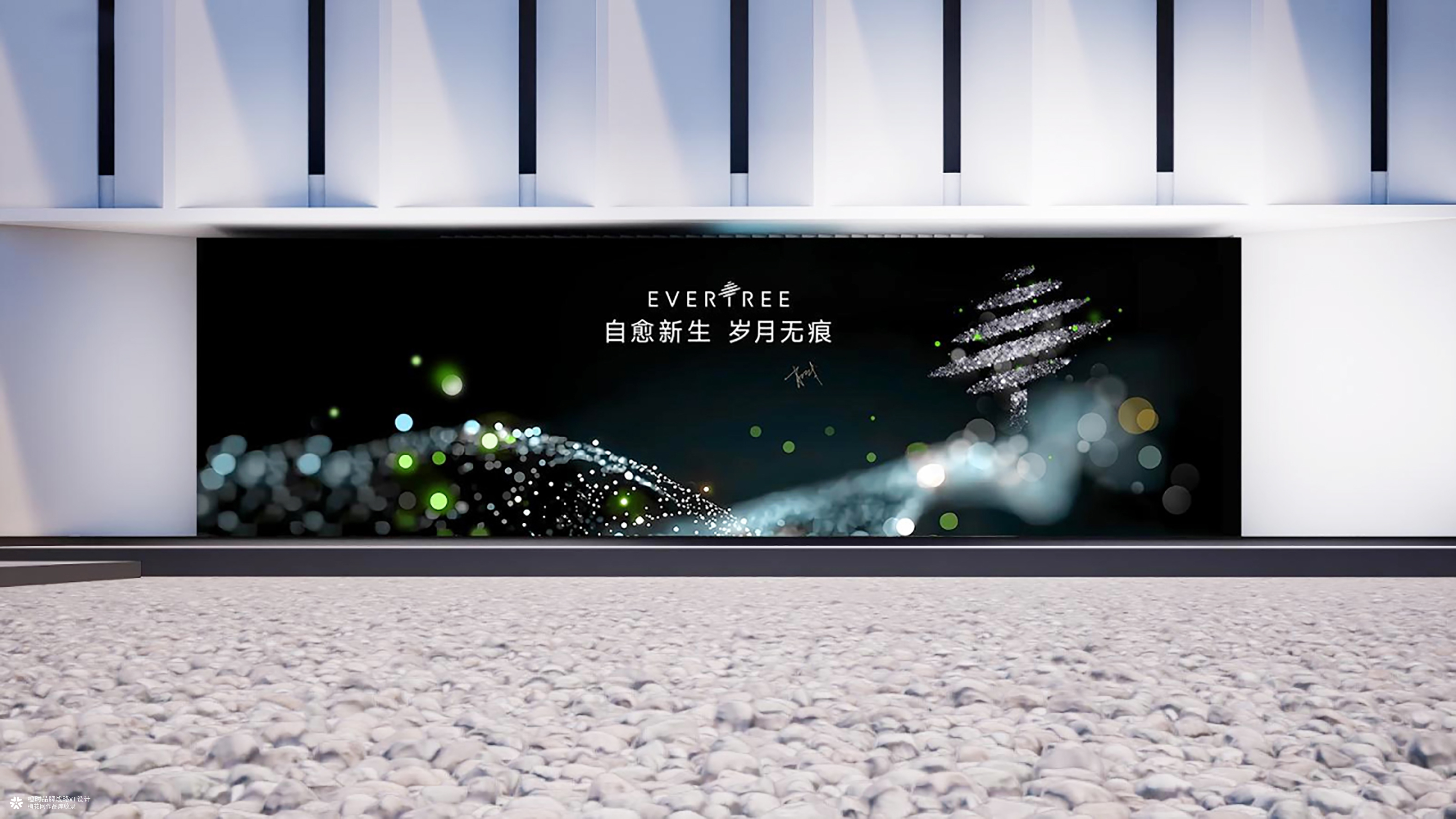 橙时 X 冻零树 | EVERTREE品牌形象设计