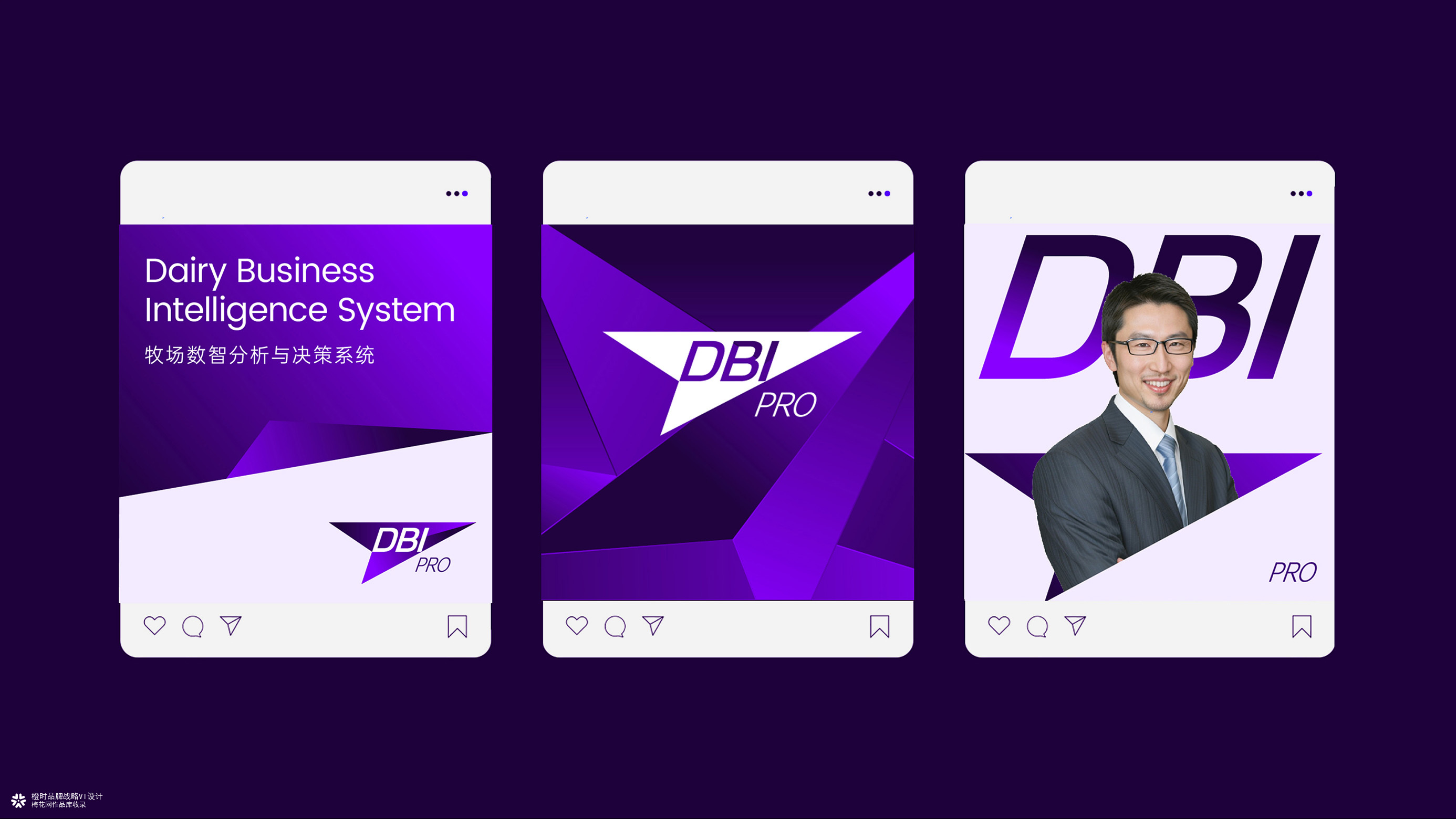 DBI Pro牧场数智分析决策平台品牌VI设计