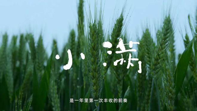 OPPO小满诠释「刚好」哲学_舆情报告_梅花数据mohodata