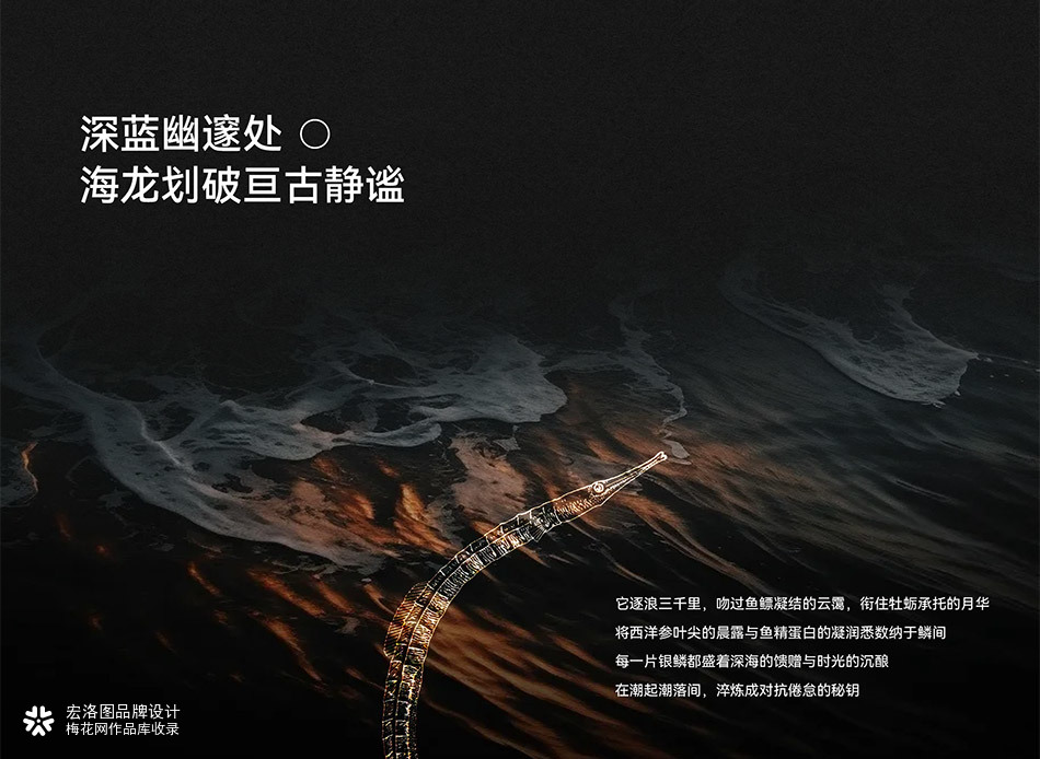 动力仁男士蓝帽保健食品全案｜合规高端滋补包装视觉设计