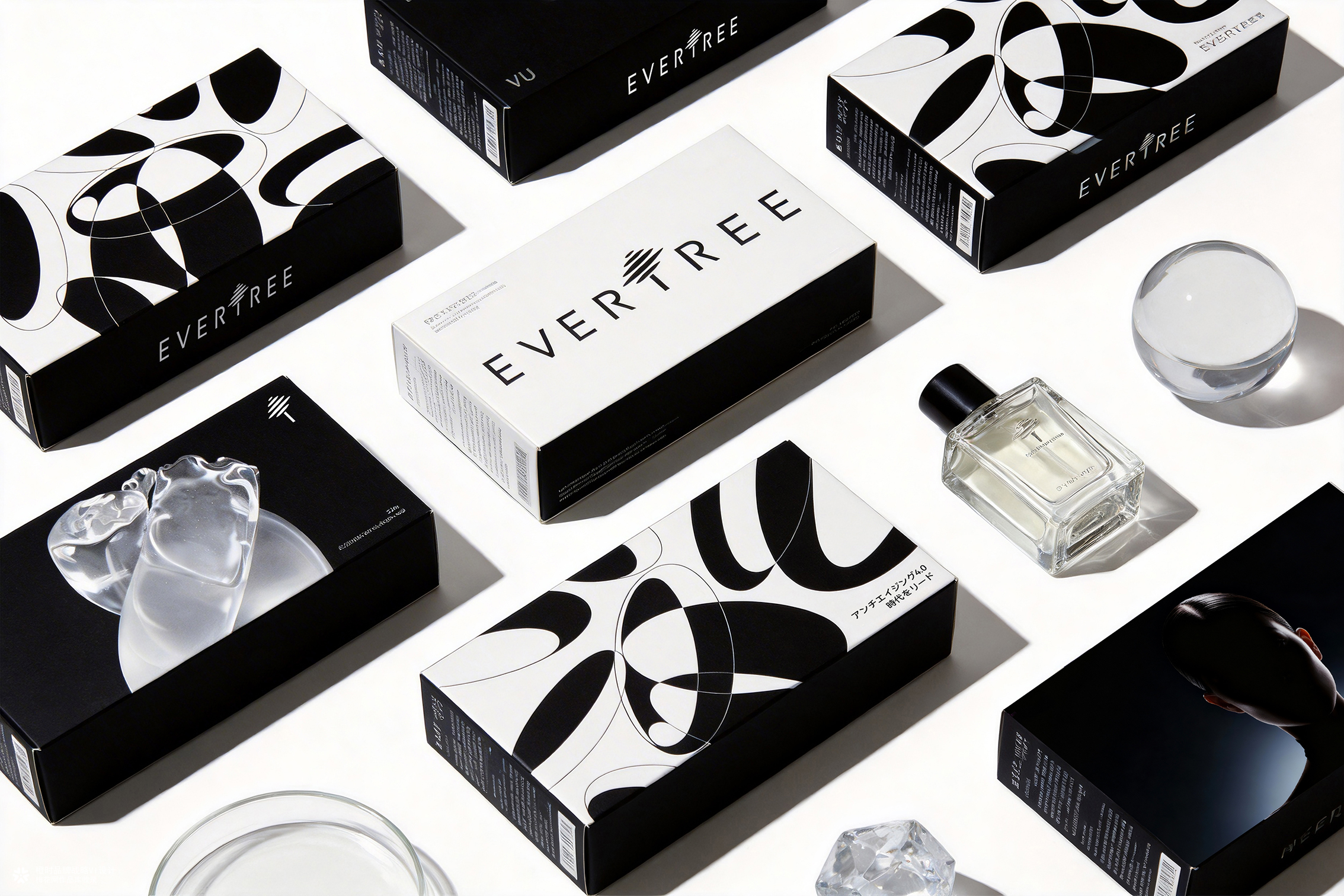 橙时 X 冻零树 | EVERTREE品牌形象设计