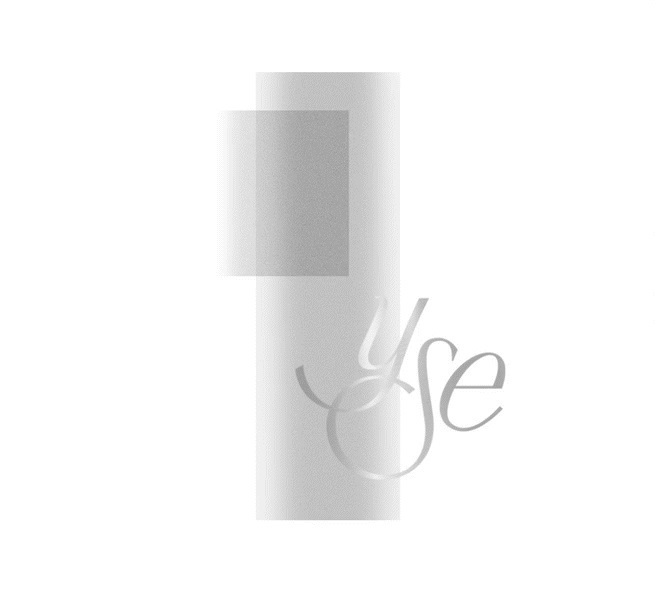 护肤YSE品牌包装设计创意概括-宏洛图品牌设计