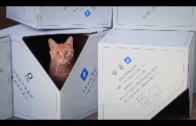 网易有道云笔记猫屋包装设计