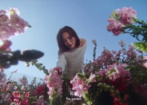 ERDOS： 把自己放回春天