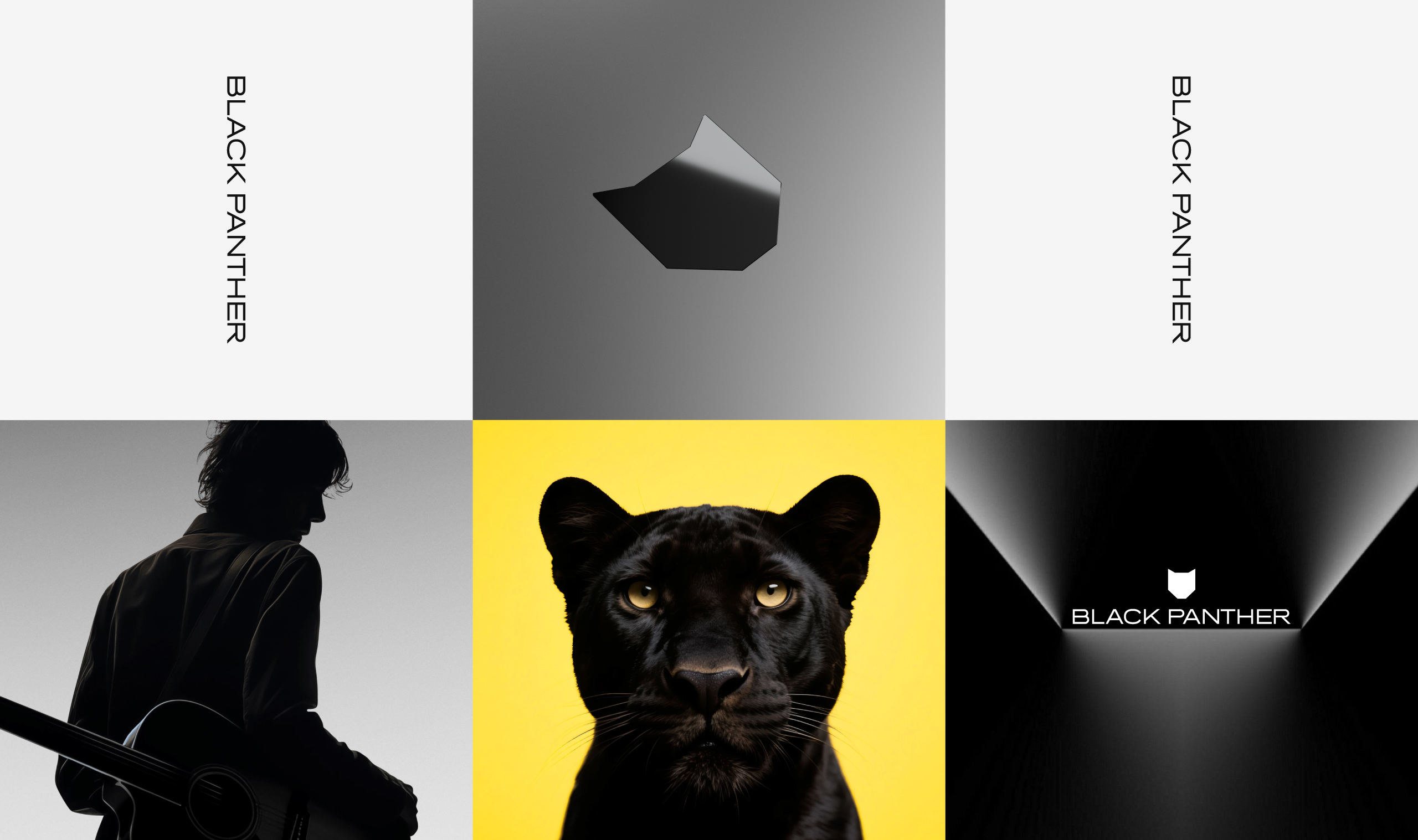 镜识黑豹，吉尼斯认证的全球蕞快机器人来了！