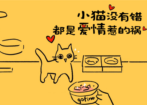 GoFine鲜宠粮：猫主子没有错，都是爱情惹的祸！