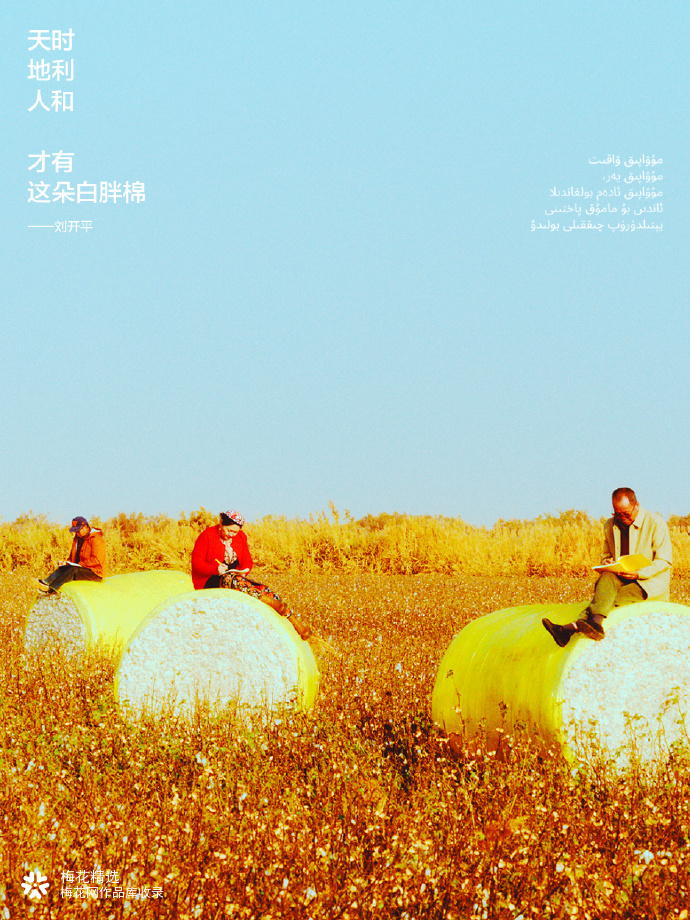 蕉内找来棉花工人写文案